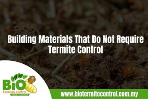 Building Materials That Do Not Require Termite Control