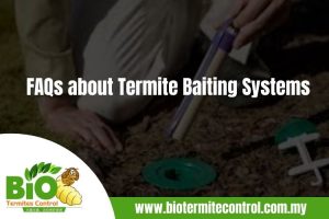 FAQs about Termite Baiting Systems