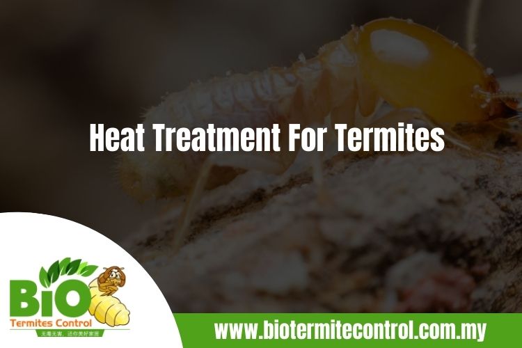 Heat Treatment For Termites