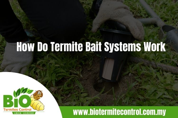 How Do Termite Bait Systems Work