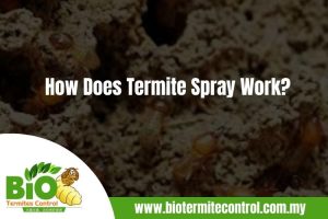 How Does Termite Spray Work
