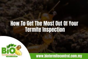 How To Get The Most Out Of Your Termite Inspection