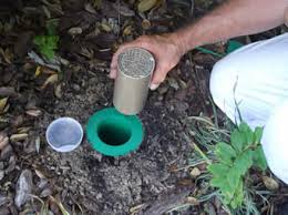 Identifying Termite Bait Stations