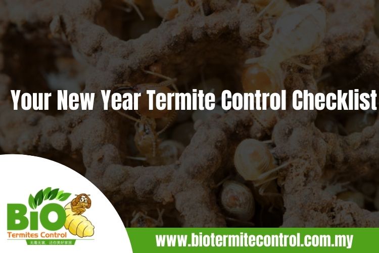 Your New Year Termite Control Checklist