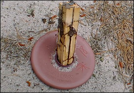 effective termite baits